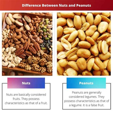 how are peanuts similar to nuts